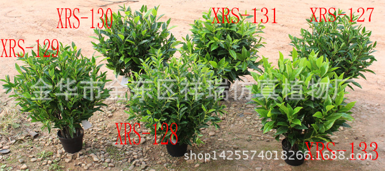 XRS-127-128-129-130-131-133