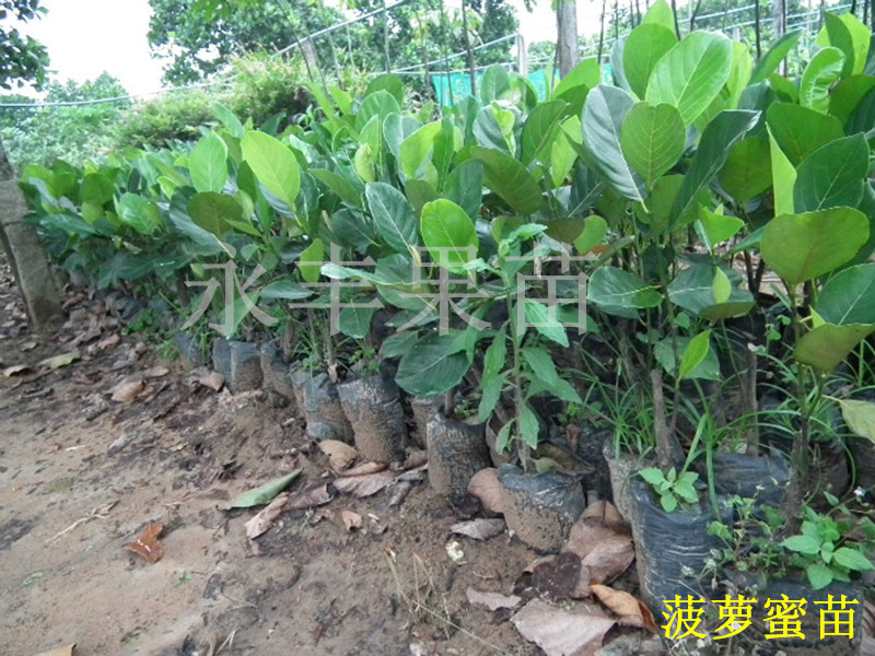 T2phVuXGBXXXXXXXXX-1698688142