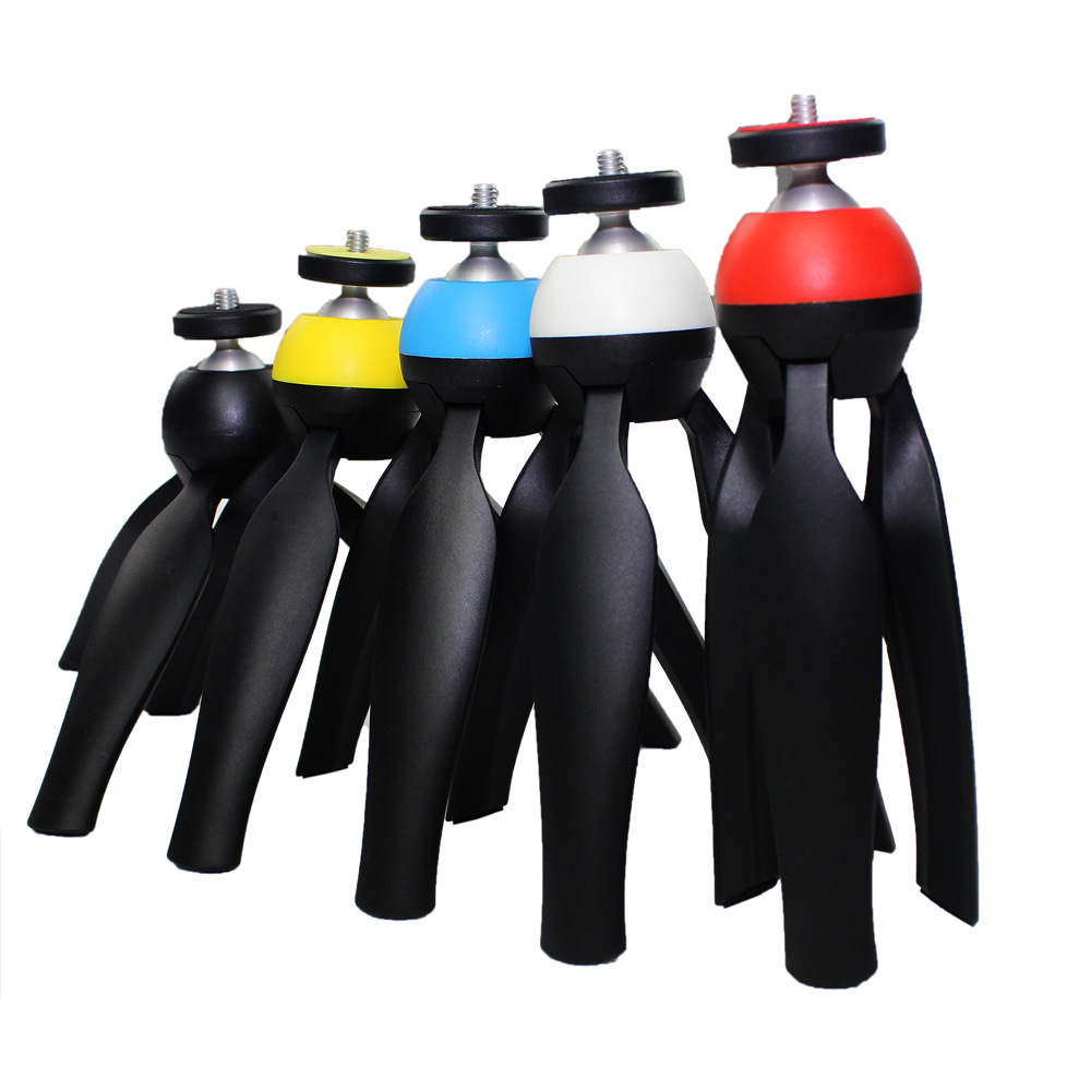 2502239519_2108336670