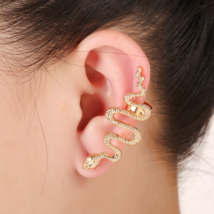 Mode Übertriebene Schlangenförmige Ohrringe display picture 5