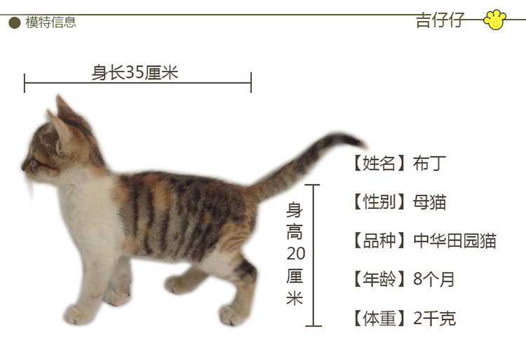 A057五小福详情图_19