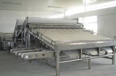 小龙虾加工生产线