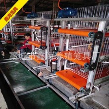 肉鸡笼价格_今日最新肉鸡笼价格行情走势