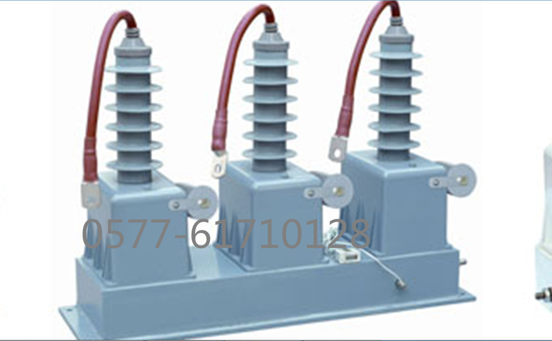 复合式阻容过电压保护器FDB-B-42F/31 FGB-10KV 35KV 12KV