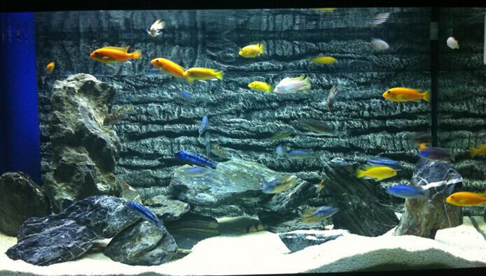 QQ图片20150613161212