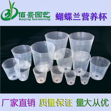优质加厚白色透明塑料蝴蝶兰石斛营养杯营养钵 育苗袋 厂家批发