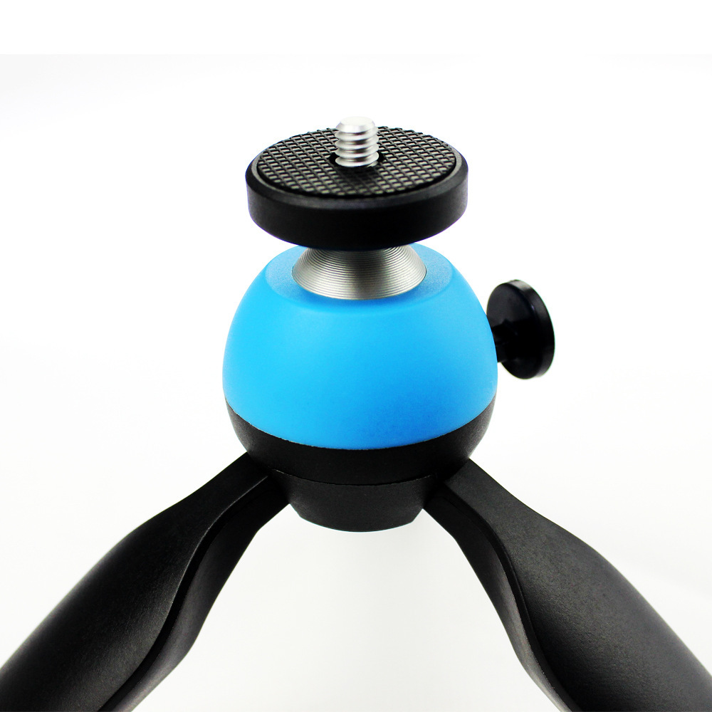 2502236455_2108336670