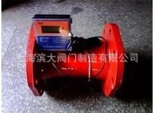 滨大阀门牌供应消防流量计转子流量计DN50-DN300