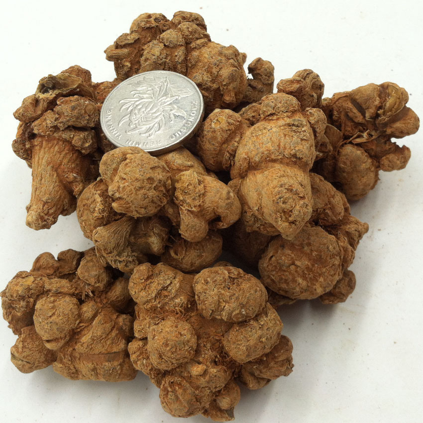 供应批发优质三七30头 直销特价贵重中药材三七30头|ru