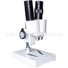 �����ʯ�õķŴ��R �ʯ�@΢�R �錚�@΢�R �wҕ�@΢�R