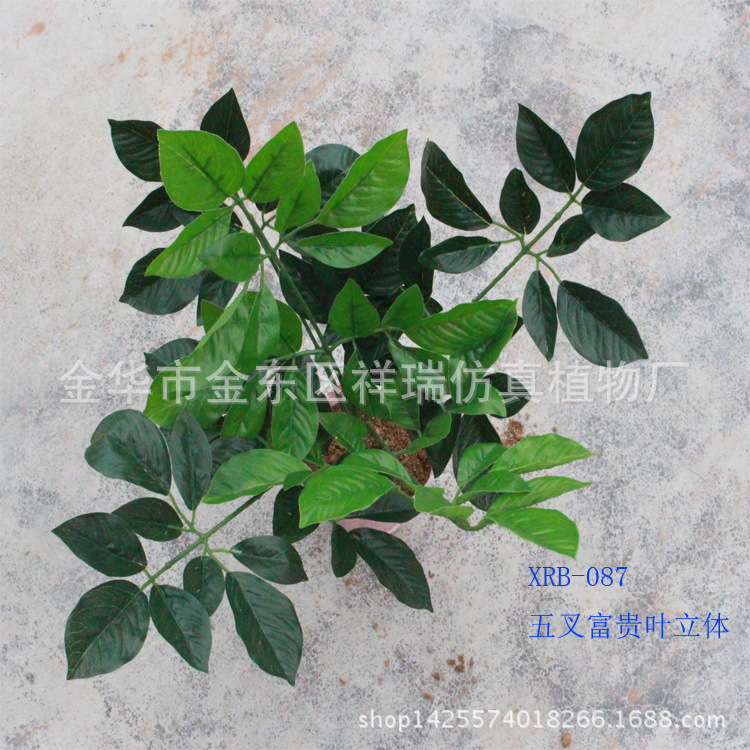 XRS-087五叉富贵叶95叶立体1