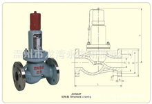 【厂家现货】供应质量可靠 ANH42F-P18C 平行式安全回流阀