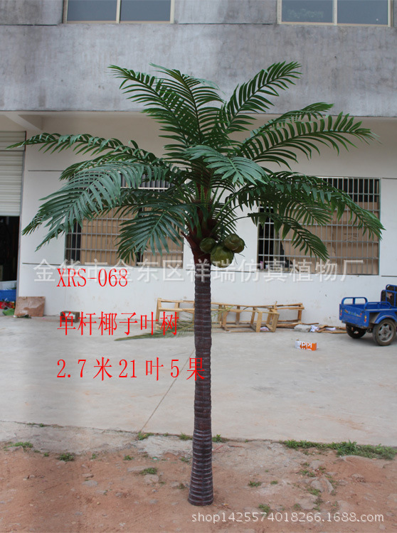 单杆椰子叶树270CM21叶5果整