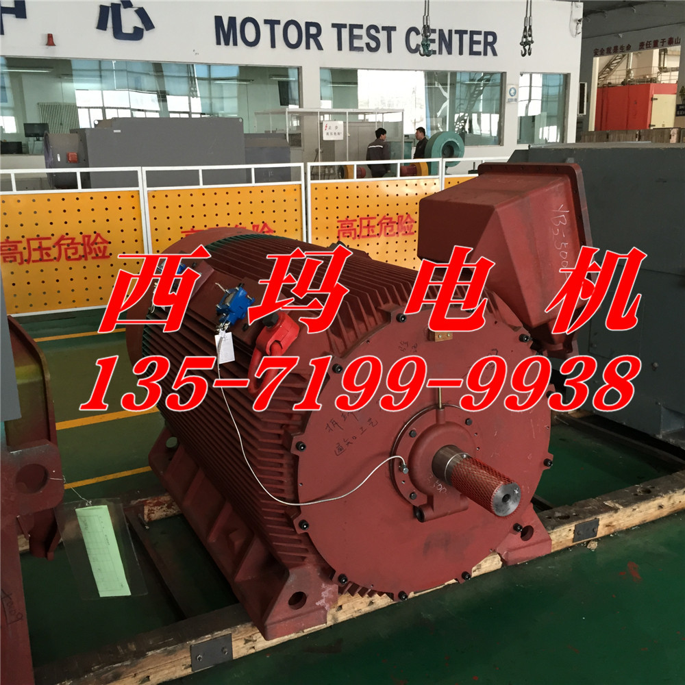 Y2-450-4Y2-4503-4 630KW 6KVѹ첽綯