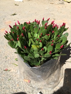 �������� �Ϸ�����  �P�Ի������l�����Ϸ�����