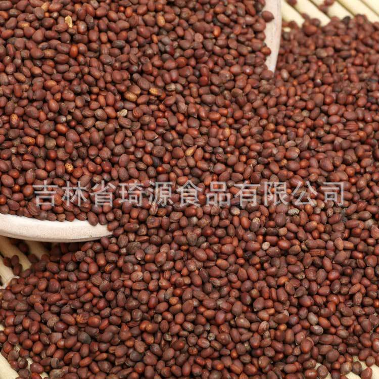 Low Temperature Baked Radish Seeds Bulk Da Luo Zi Ready to Eat Herbal Snack key features