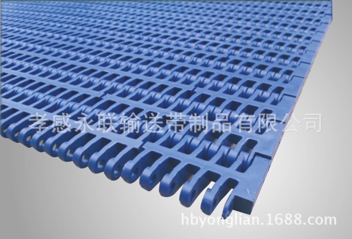 塑料模组式输送网带  PE/NYLON塑料链板网带 模块塑料链板