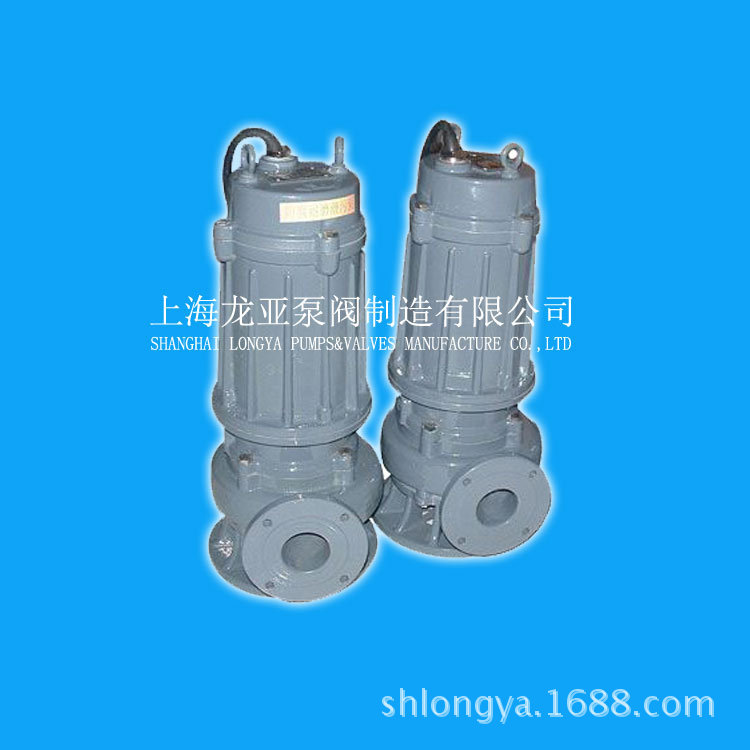 供应QW100-100-40-22不锈钢污水电泵 WQP50-25耦合污泥池泵