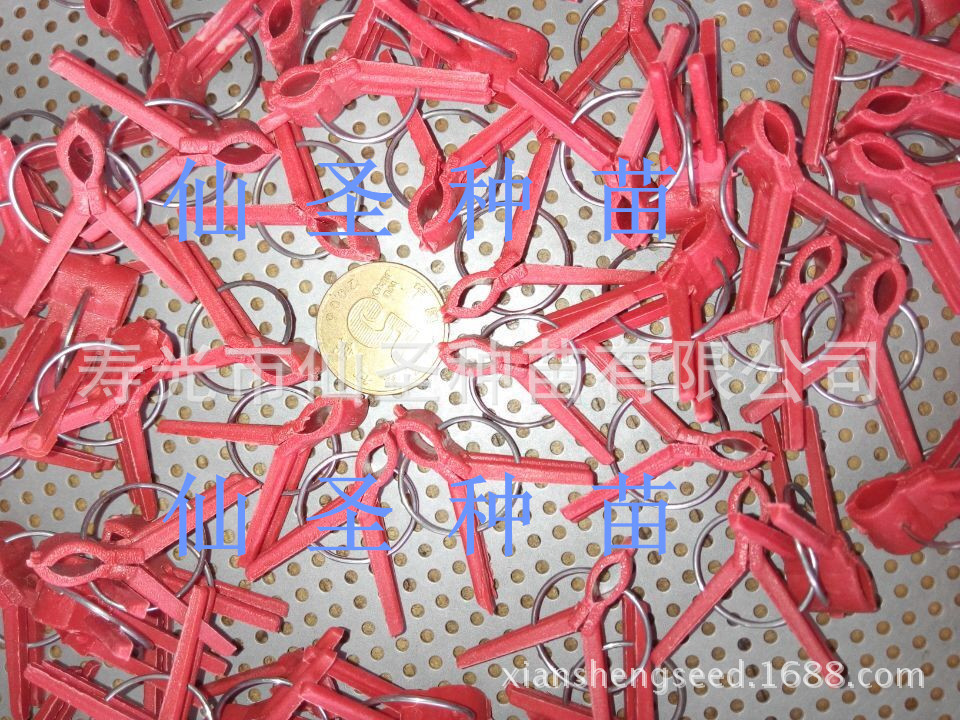 Grafting clip Flat round mouth watermelon muskmelon cucumber Eggplant Dedicated Grafting clip Grafting clamp for fruits and vegetables