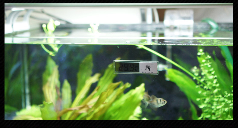 水晶温度计改色修改_14