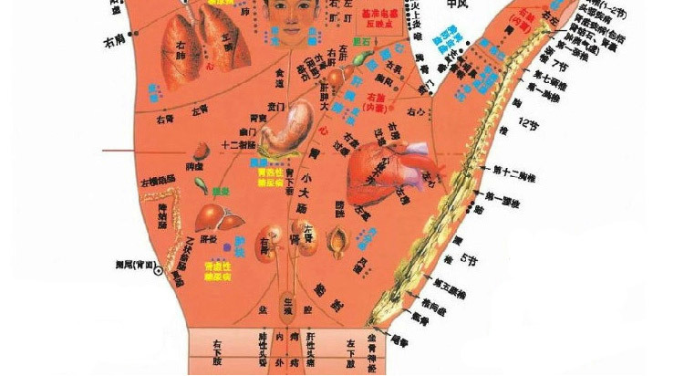 手指按摩器的内页-切片_10