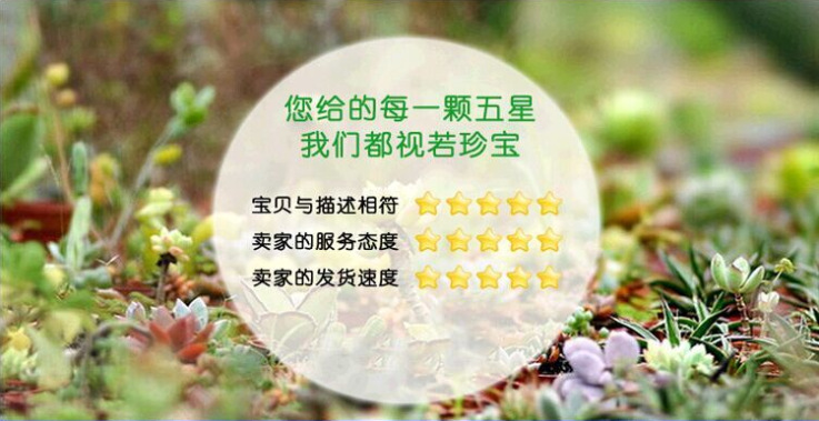 QQ圖片20151229092854