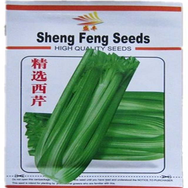 TB1ePQPHpXXXXaPXXXXXXXXXXXX_!!