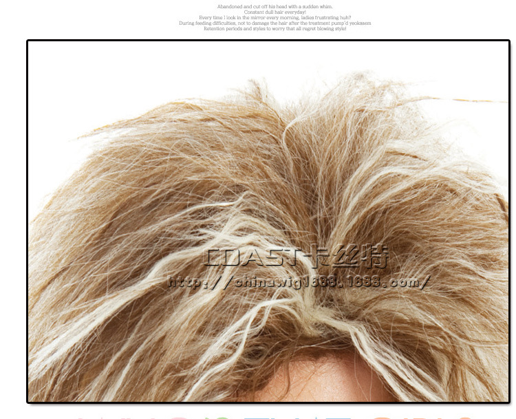 Perruque Les cheveux longs - Ref 2610780 Image 12