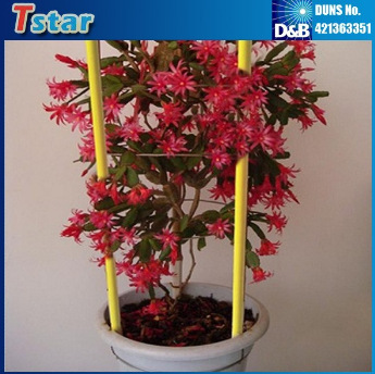 热销7mm现货玻纤棒用在园艺，植物支架