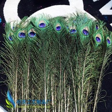 厂家销售孔雀羽毛100-110cm孔雀毛  孔雀羽毛 饰品 插画装饰