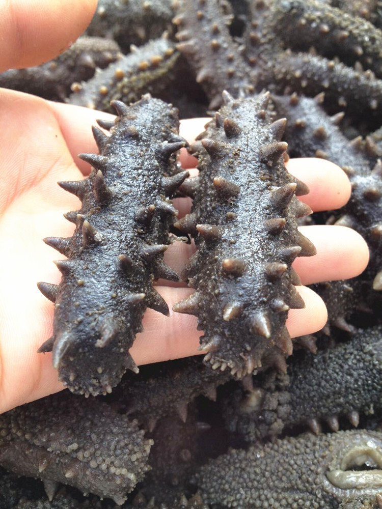 点击打开原图 9_副本大图