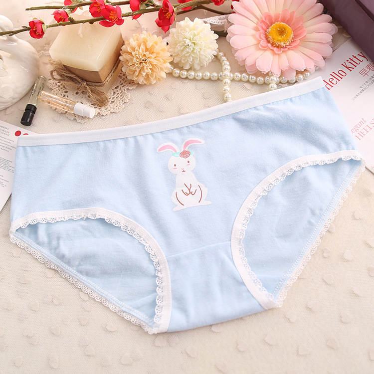Slip jeunesse Lapin 01 en coton - Ref 655423 Image 24