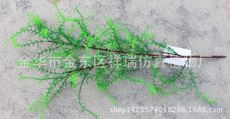 XRB-134骆驼刺叶2叉枝60叶春色