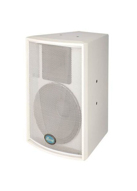 供应CDBO AQ-10专业音箱  10寸音箱 KTV音箱 舞台音箱 音响音箱