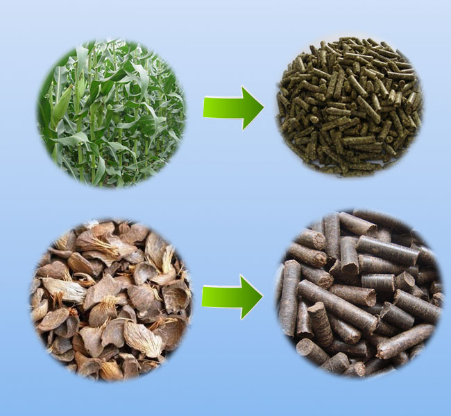 2110126996_2044683355