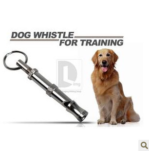 1081277258_1233581155.310x310