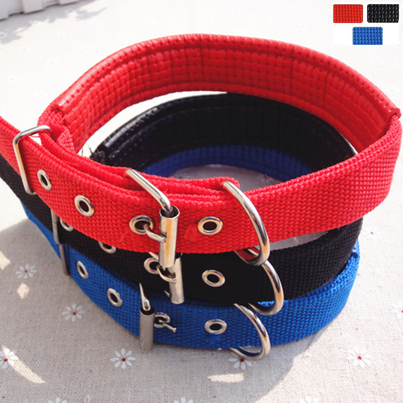 colour Foam Pet collars Pet collars|Pet traction circle|Dog Collar Pet Supplies wholesale