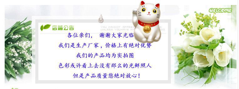 1405589308_1748283743