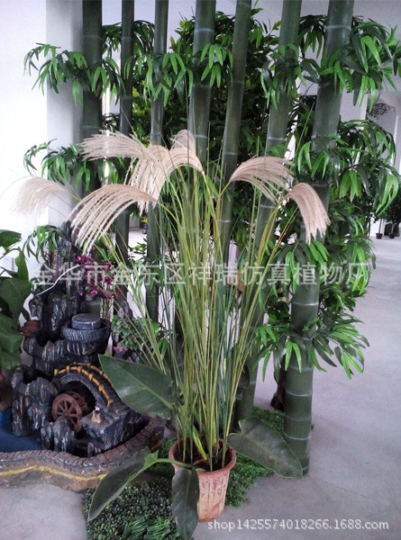 XRB-015单枝芒草叶15叶150CM1