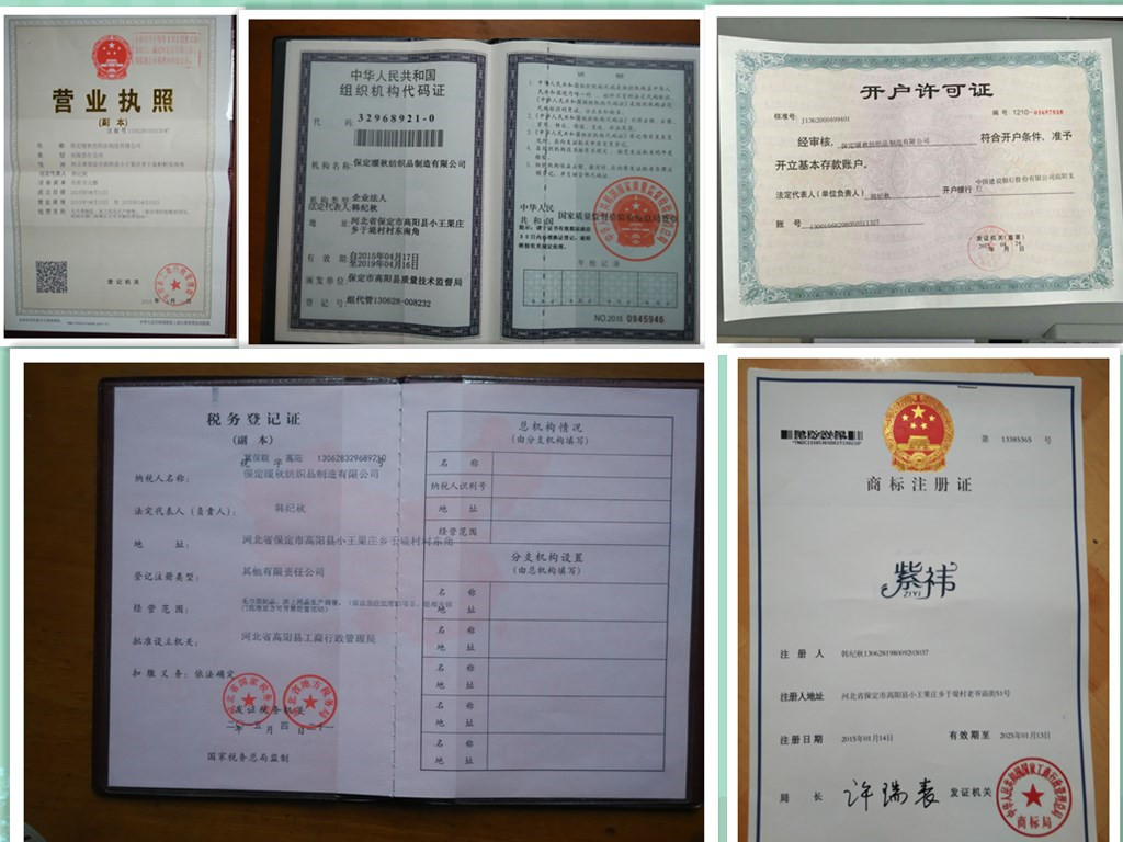 執照拼圖