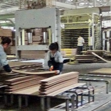 供應竹木單板層壓復合地板生產線加工設備-青島國森機械