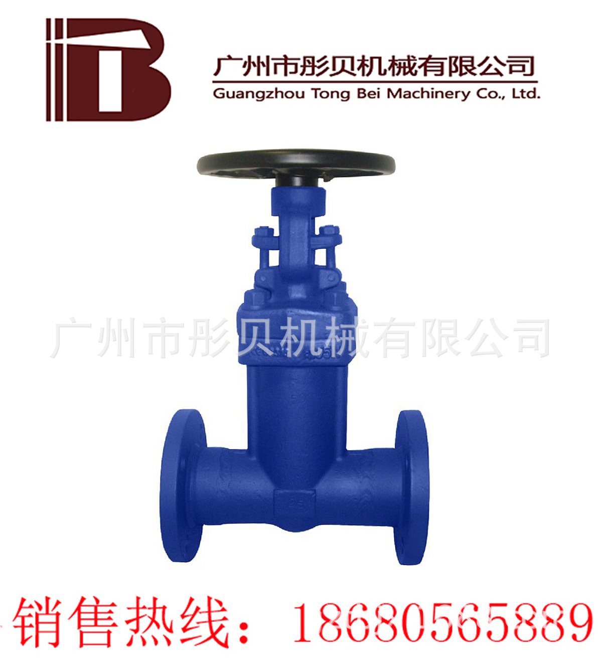 WZ41H波纹管闸阀 DN50