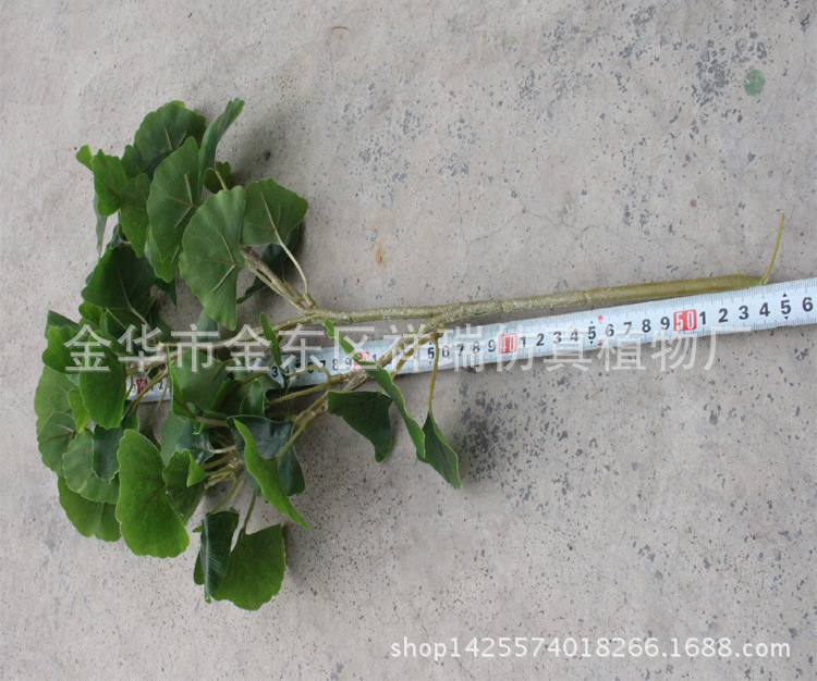 XRB-157银杏叶三叉枝15叶5