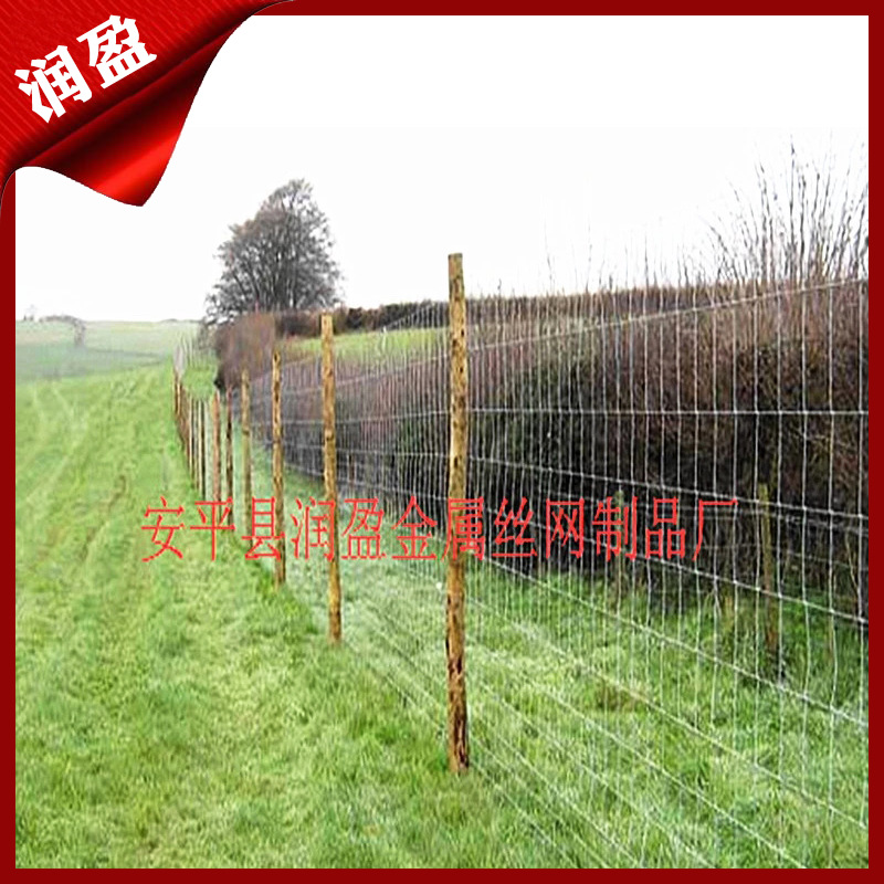 钢丝牲畜围栏 草原隔离网