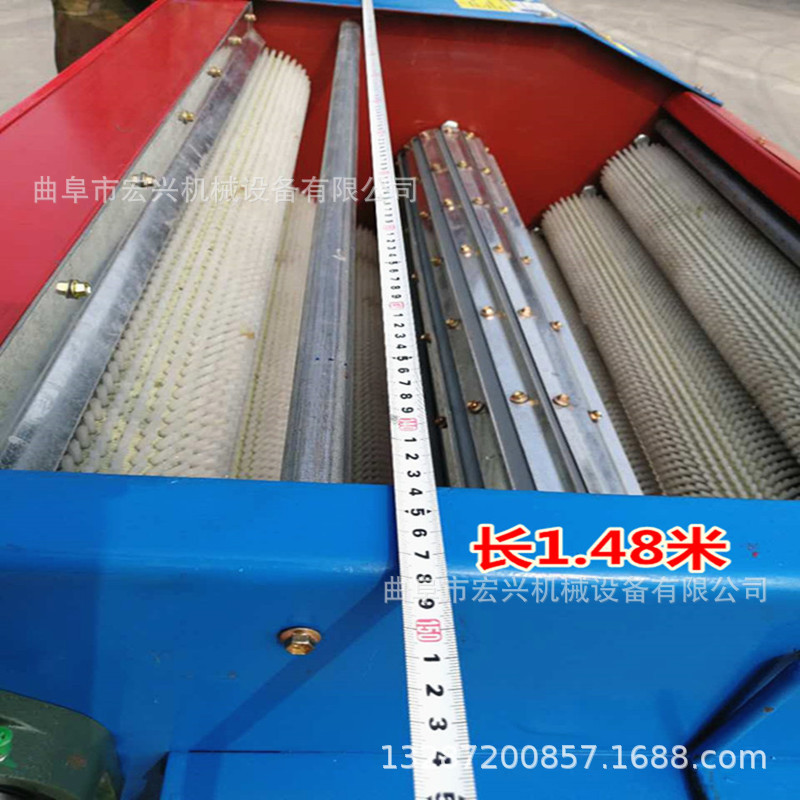 核桃去皮清洗设备 毛辊清洗机 专业去皮清洗机械