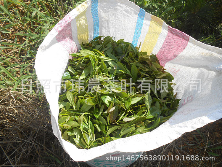DSCN0950