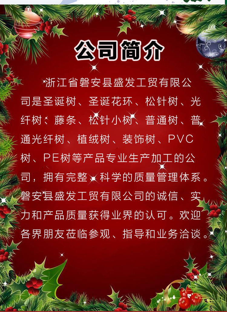 圣诞节装饰品挂件商场店铺创意装扮活动场景布置悬挂饰品圣诞挂饰详情4