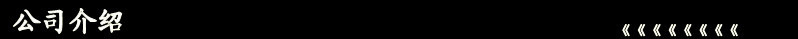 公司介紹 1