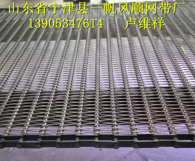 网带、网链、输送带-9959