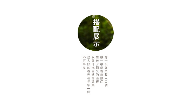 花盆01_17